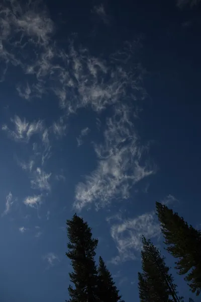 DSC_4293 (Large).JPG